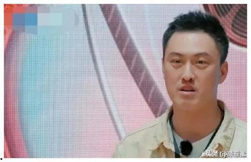 娱乐圈吃瓜爆料的小说,幕后真相，瓜田乱舞