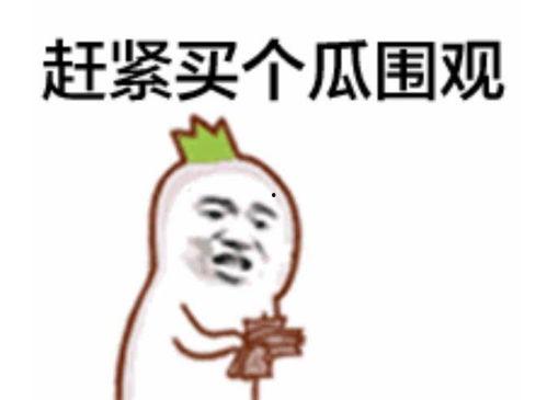 吃娱乐圈瓜表情包,吃瓜表情包盘点